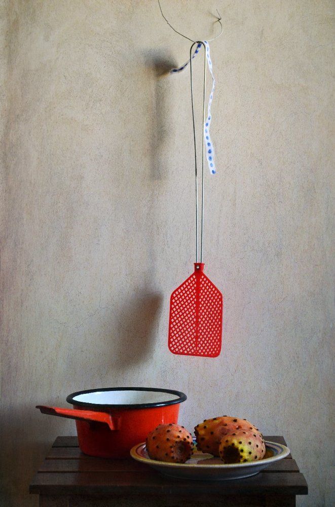 С плодами опунции