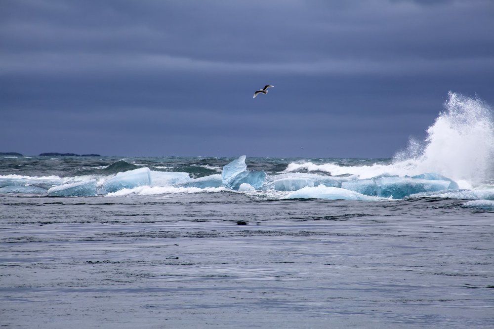 Волна и свобода