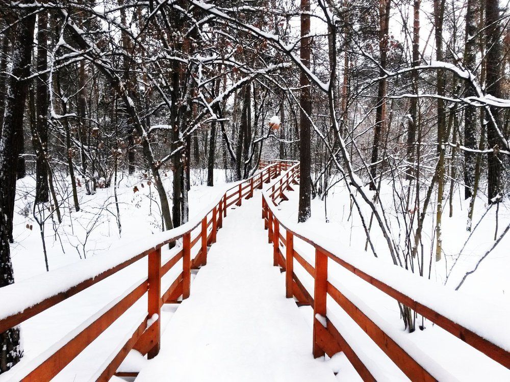 Зимняя дорога