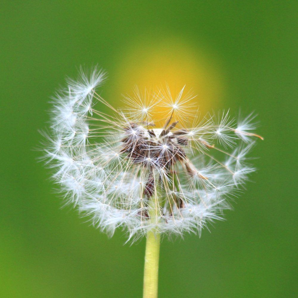 Воспоминания о былом...