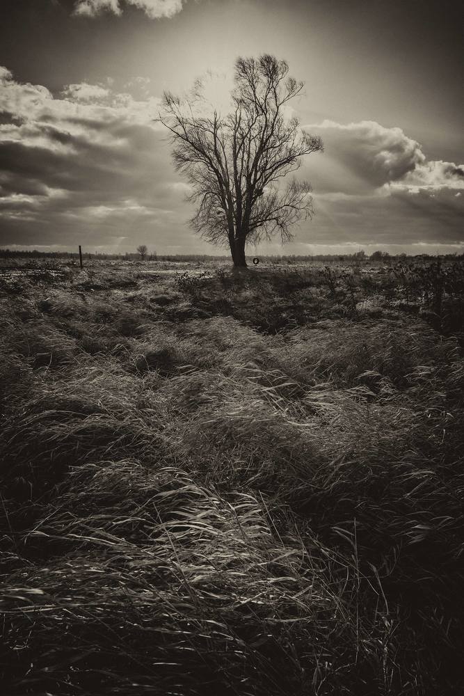 Фотография автора Игорь Баранов