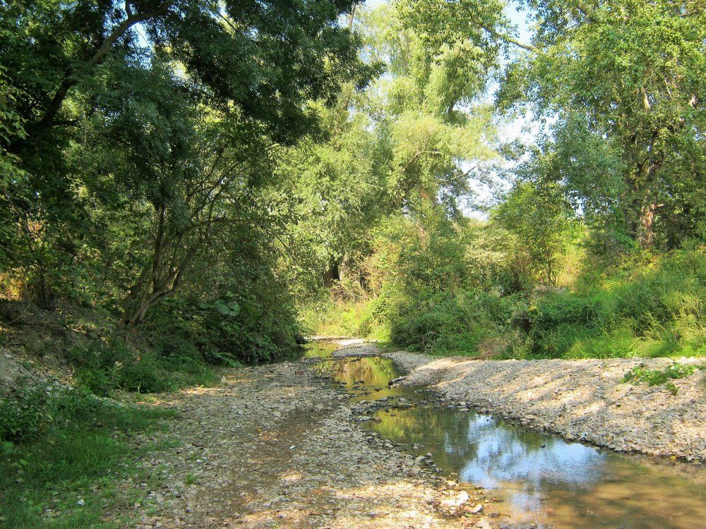 Вдоль реки Сукко