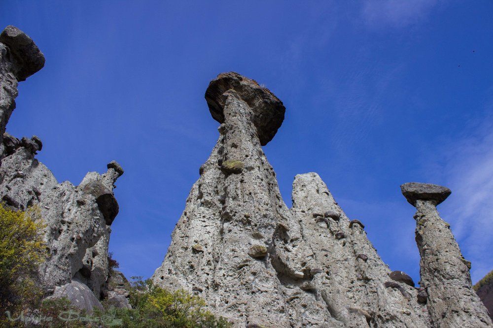 Каменные грибы