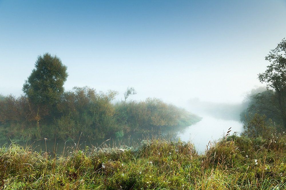 Шерна в тумане