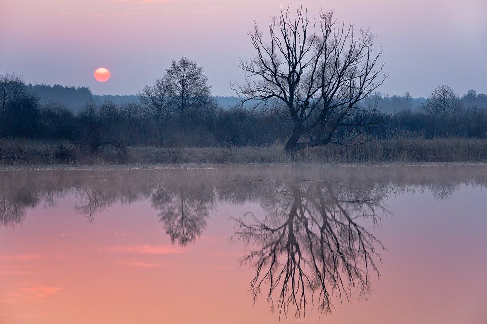Тихое утро.