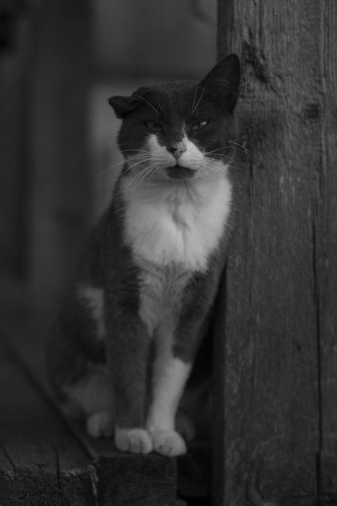 Photograph by Алена