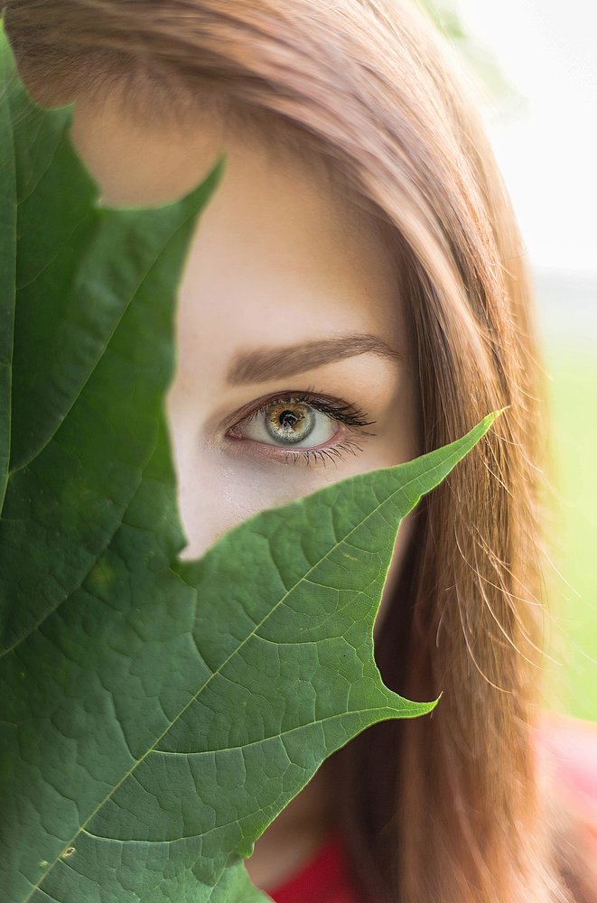 Кленовый воин