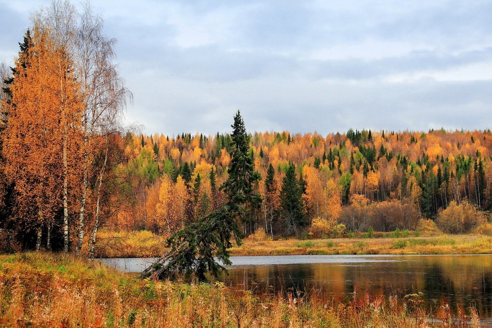 Пора листопада