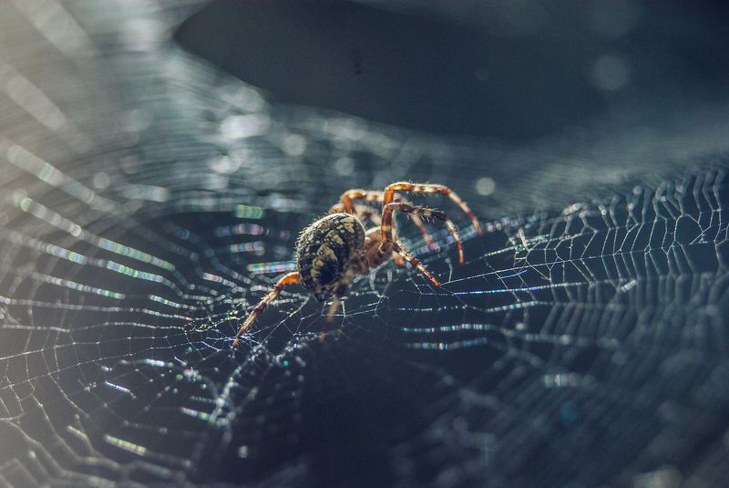 Aleksandr Miroshnichenko, Ukraine