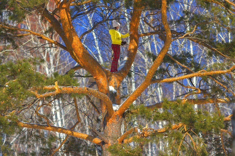 Ловец солнца!