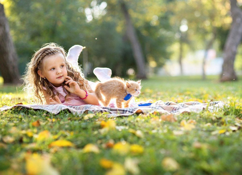 "Кто здесь?"