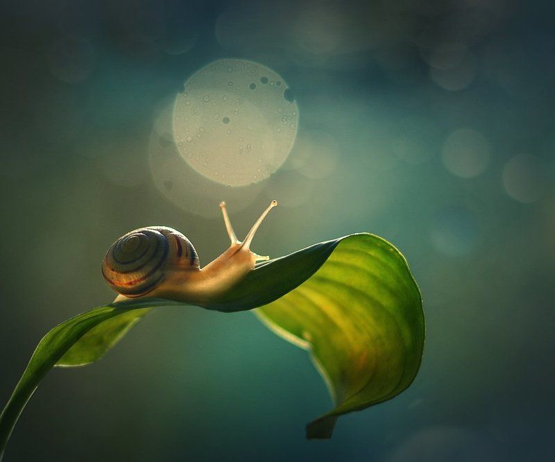 Katarzyna Załużna, Poland