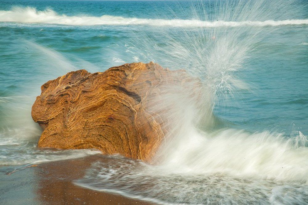 Купание желтого верблюда