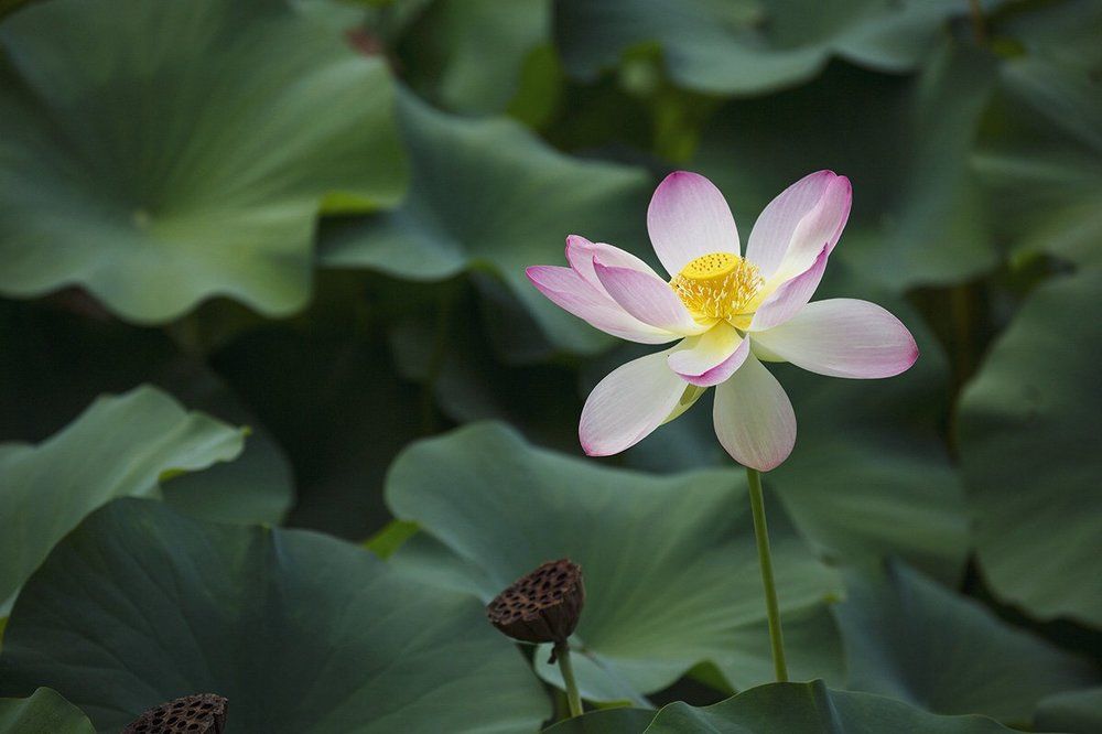 Photograph by Ксения Максименко