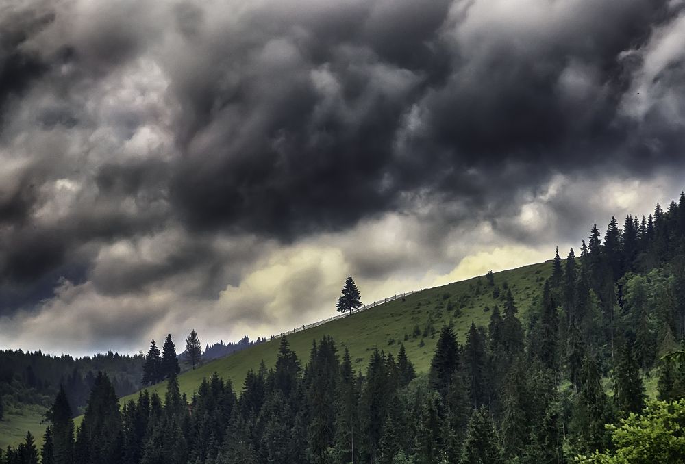 Одиночестно