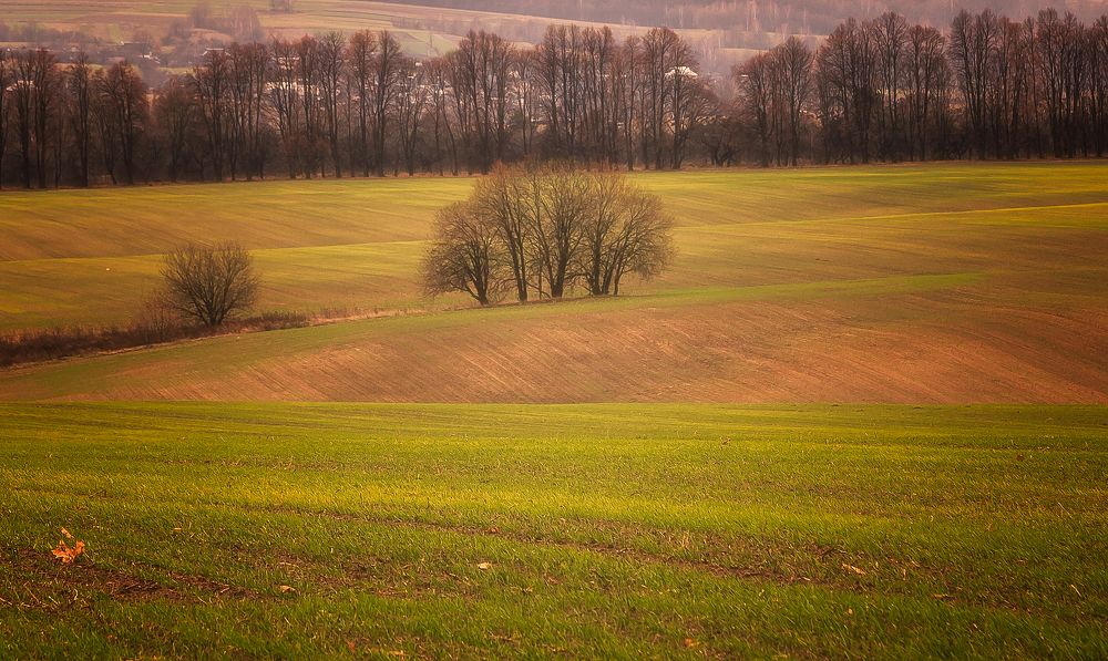 украинская Моравия