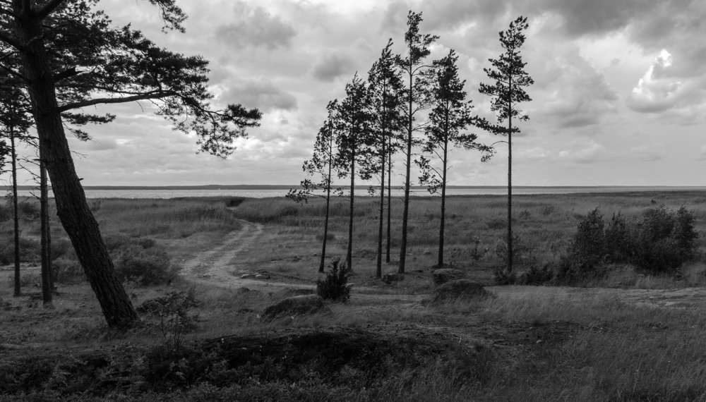 Таинственная тропа