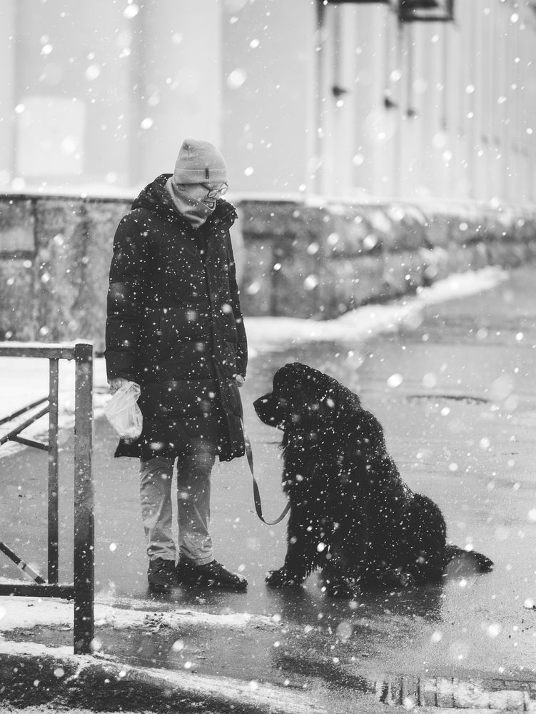 Photograph by Софья Титова