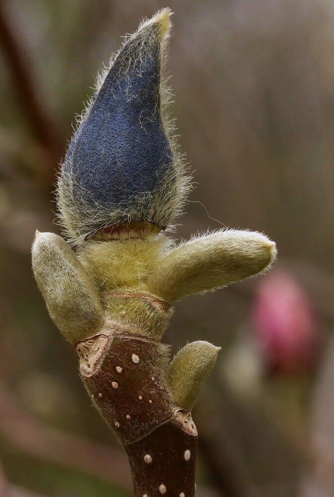 Photograph by Гагик Саркисян