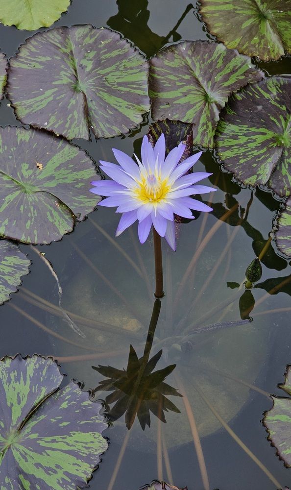 Photograph by Вадим Богатиков