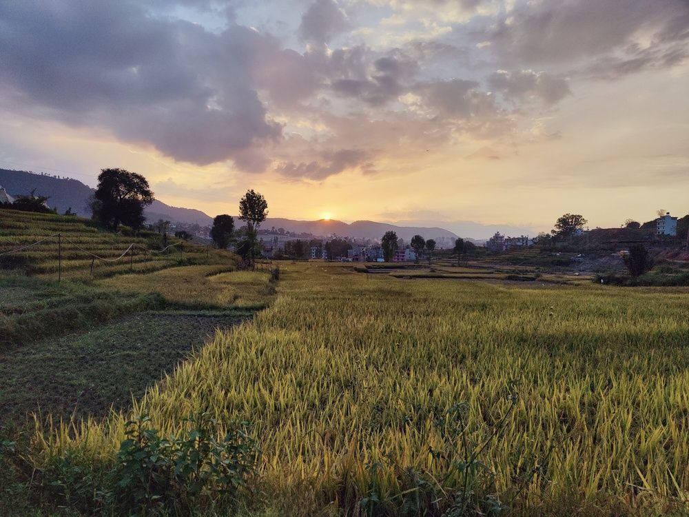 Фотография автора Jaya Bin