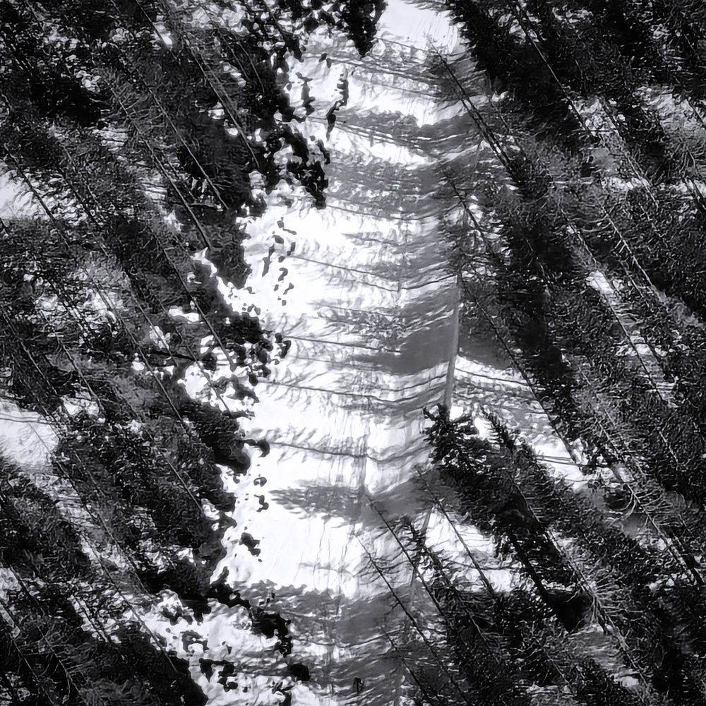 Фотография автора Emese Bădina