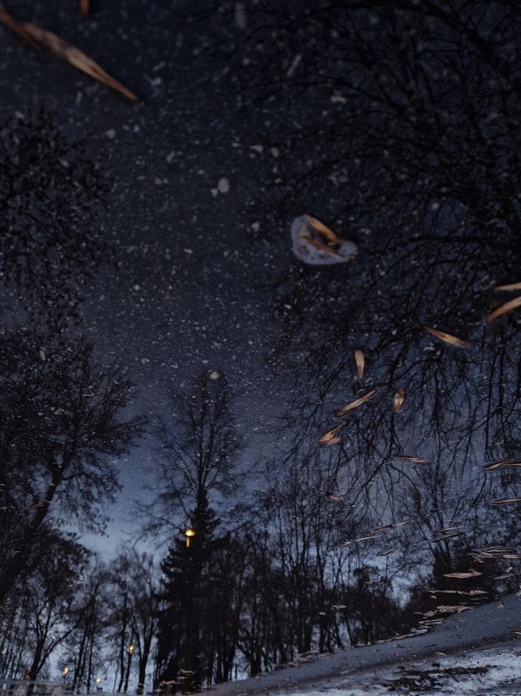 Photograph by Елена Семкина