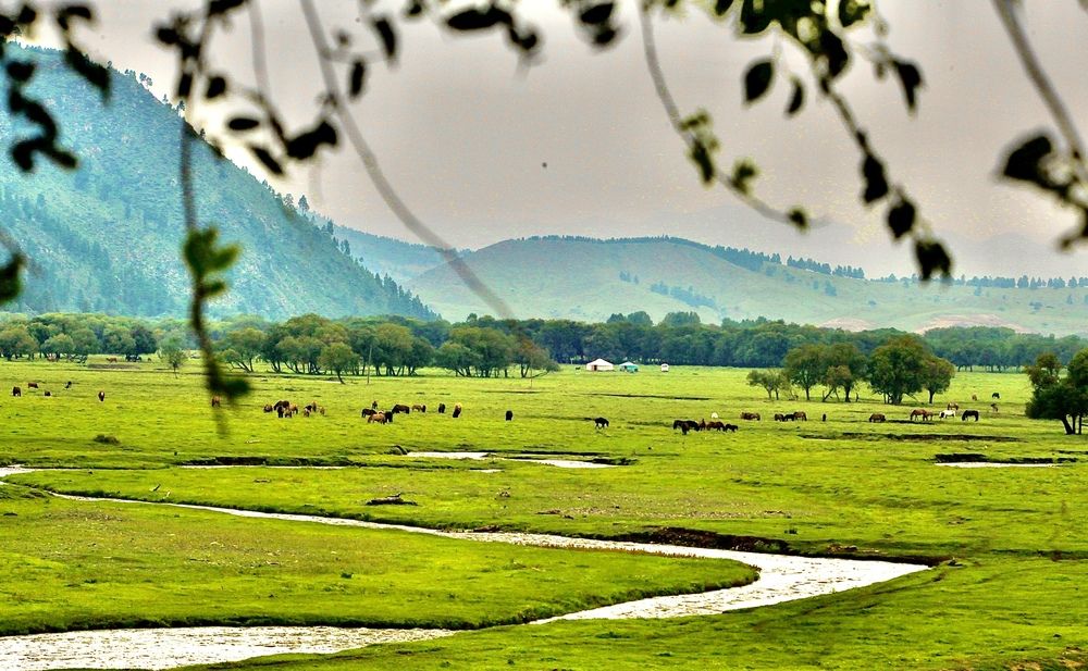 Photograph by Batsaikhan Badamdorj