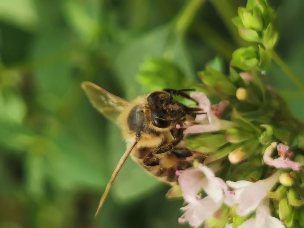 Photograph by Nikolett Mengyi