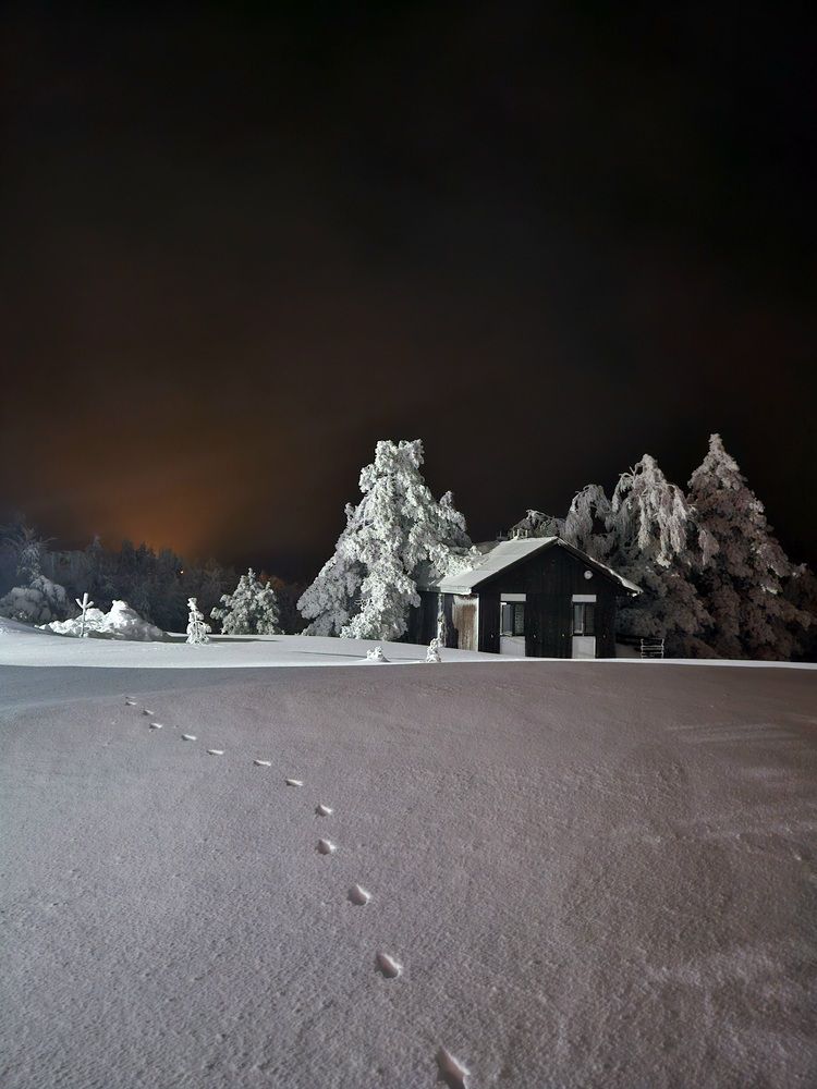 Photograph by Ольга