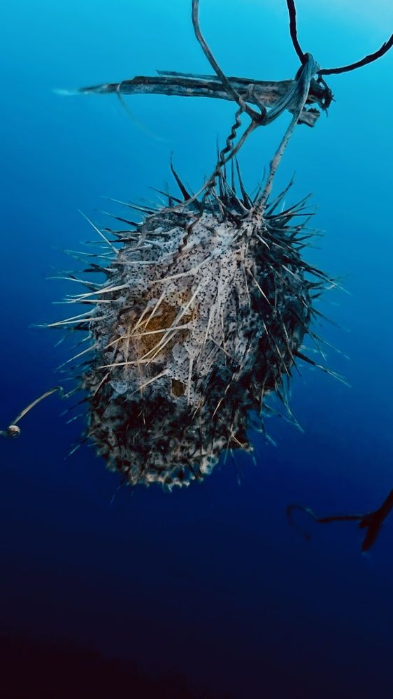 Photograph by Максим Азарчик