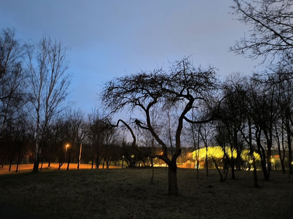 Photograph by Людмила Муравьева