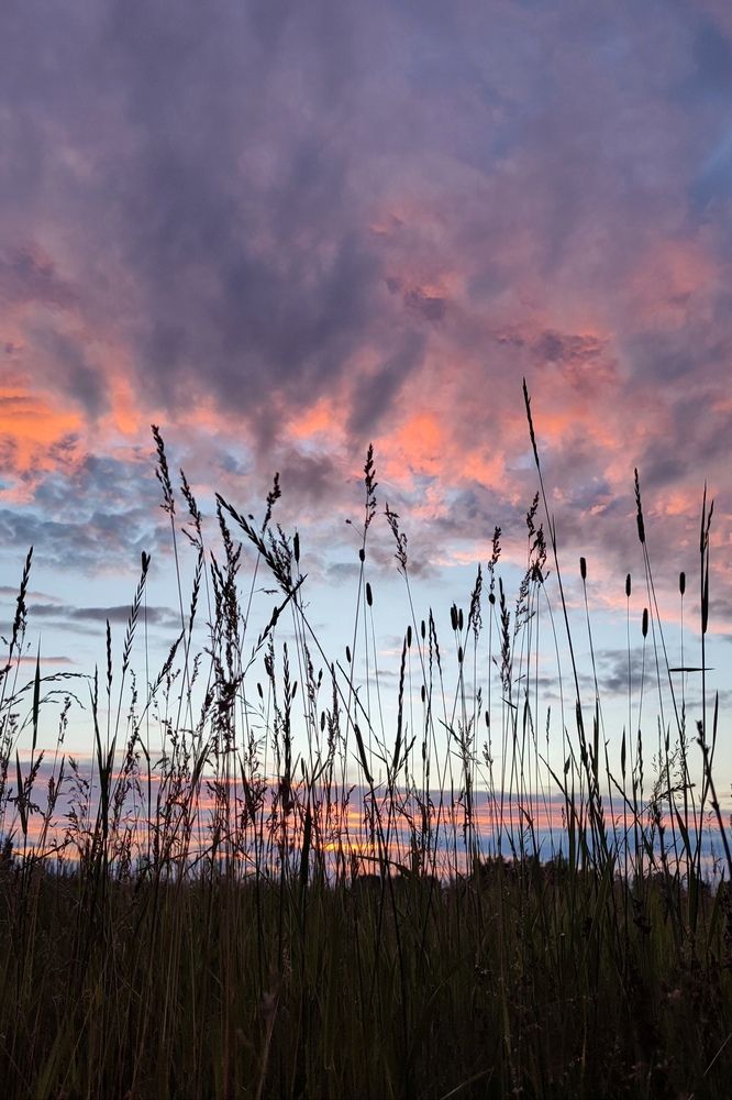 Photograph by Оксана Сандимирова