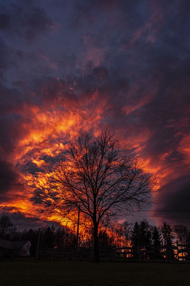 Photograph by Adrian Chmielowski