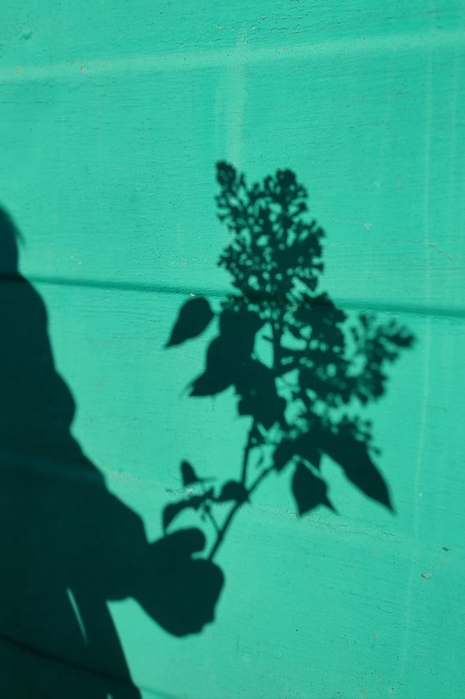 Photograph by Оксана Сандимирова