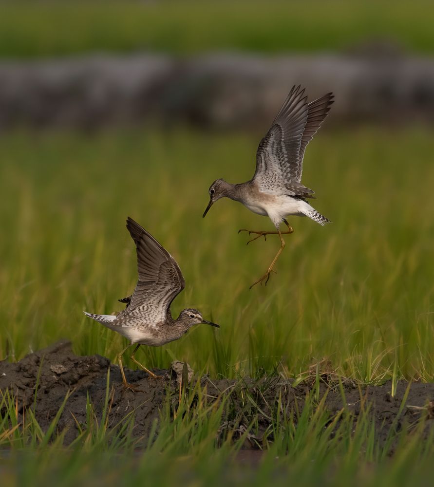 Photograph by Sagar Mondal