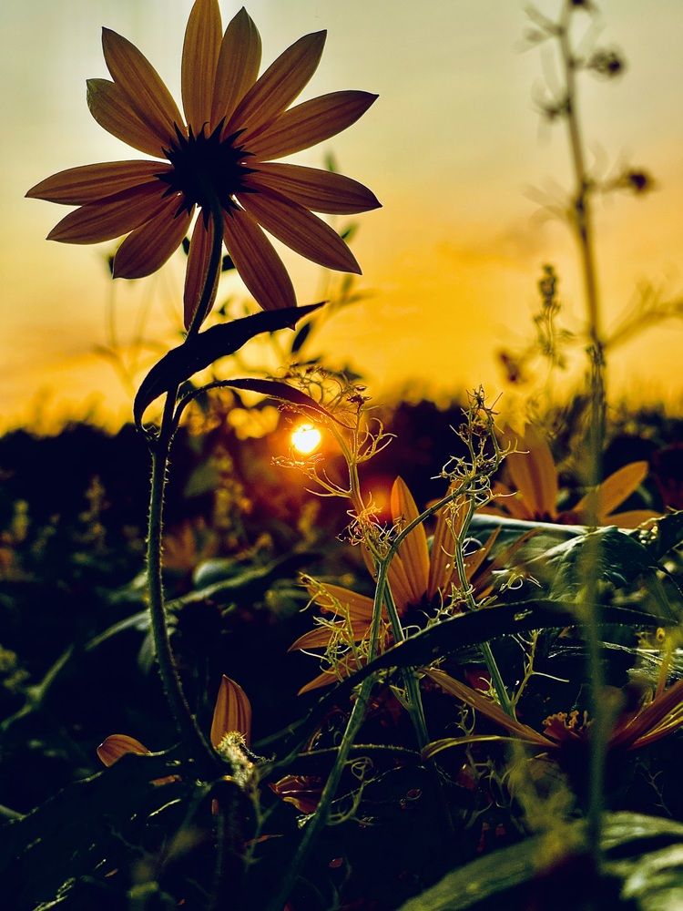 Photograph by Максим Азарчик