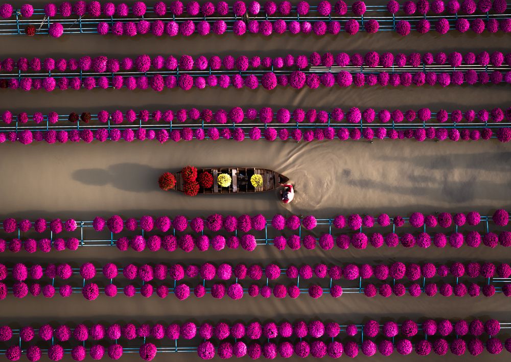 Photograph by Sunshine Le