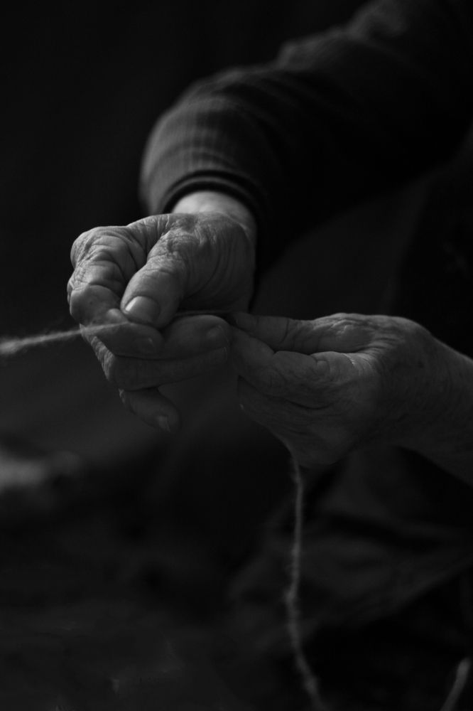 Photograph by Анастасия Щербакова