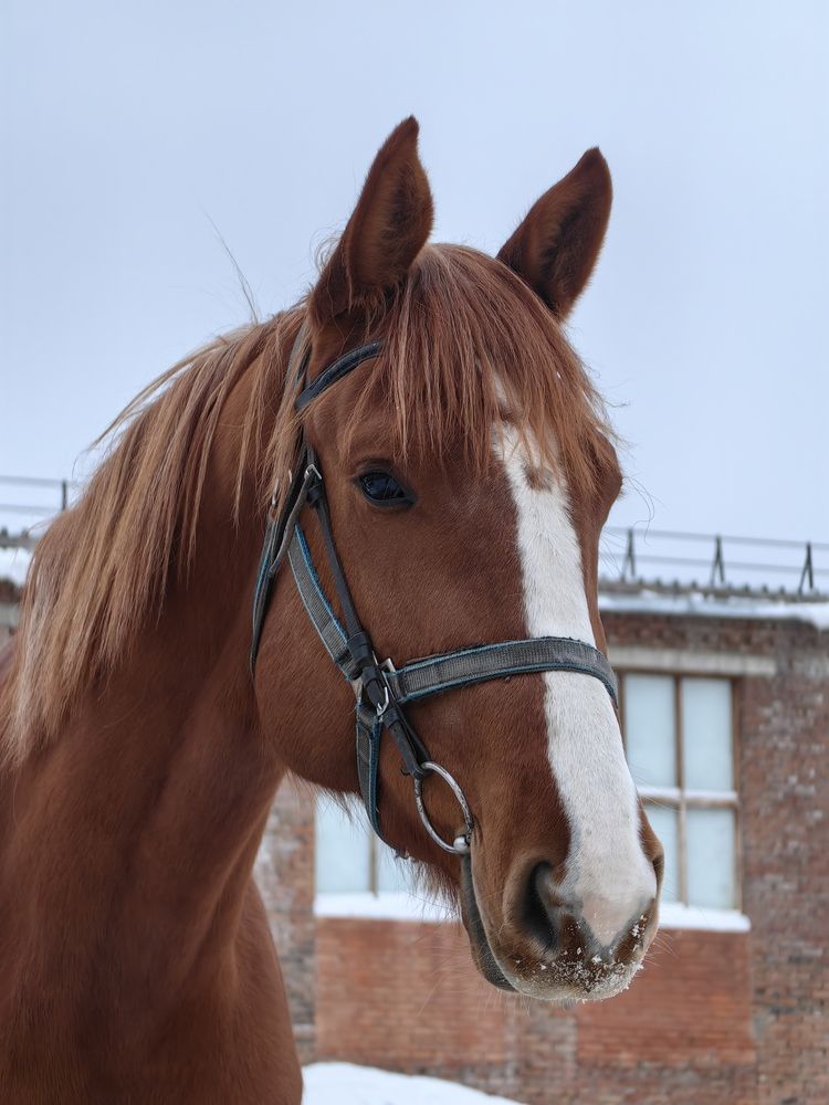 Фотография автора Иван Дутчак