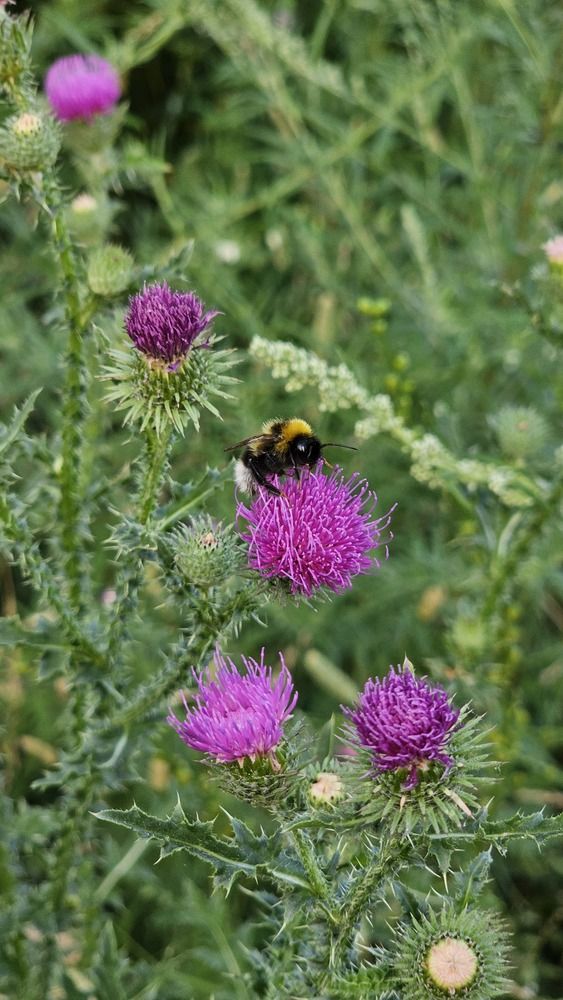 Photograph by Svetlana Stenkina