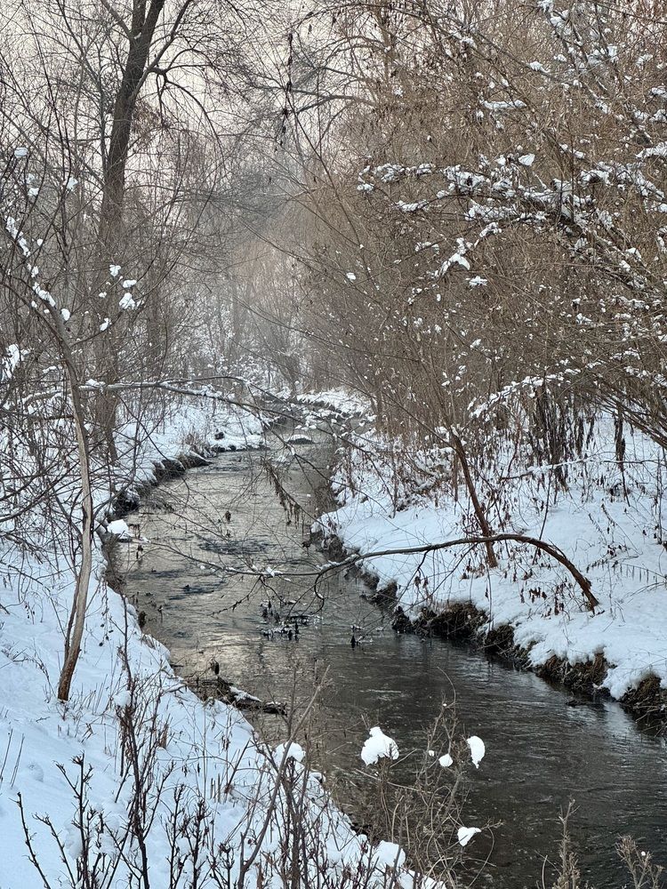 Photograph by Вероника Райхерт