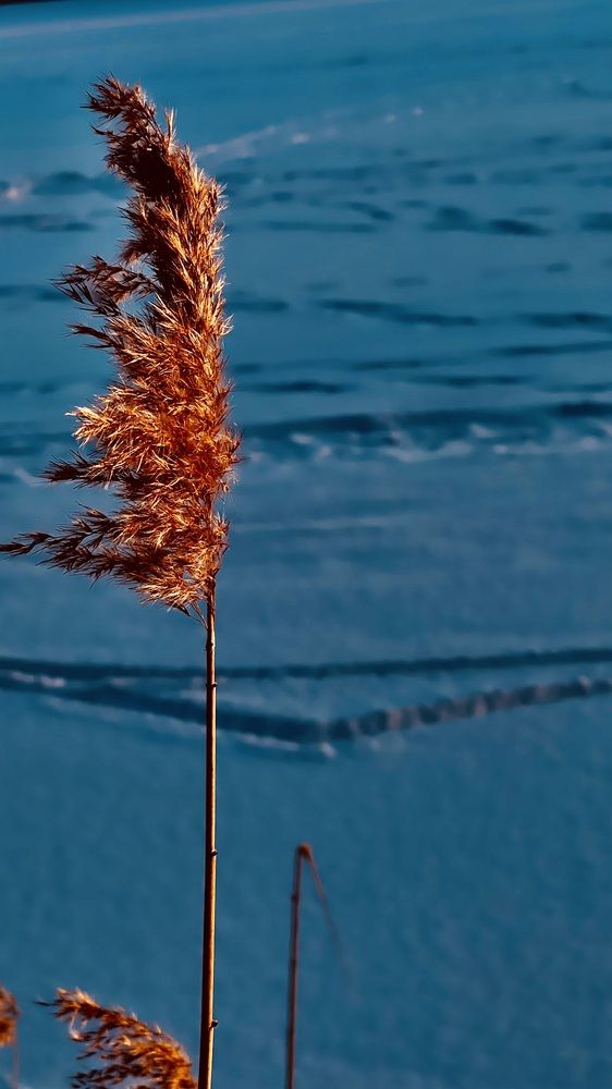 Photograph by Максим Азарчик