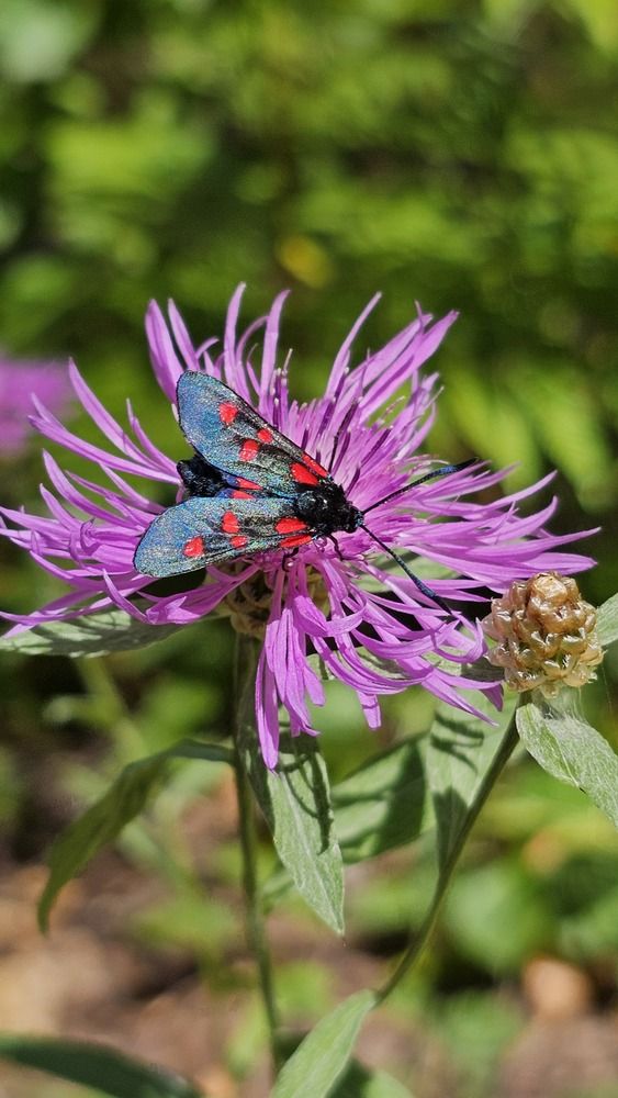 Photograph by Svetlana Stenkina