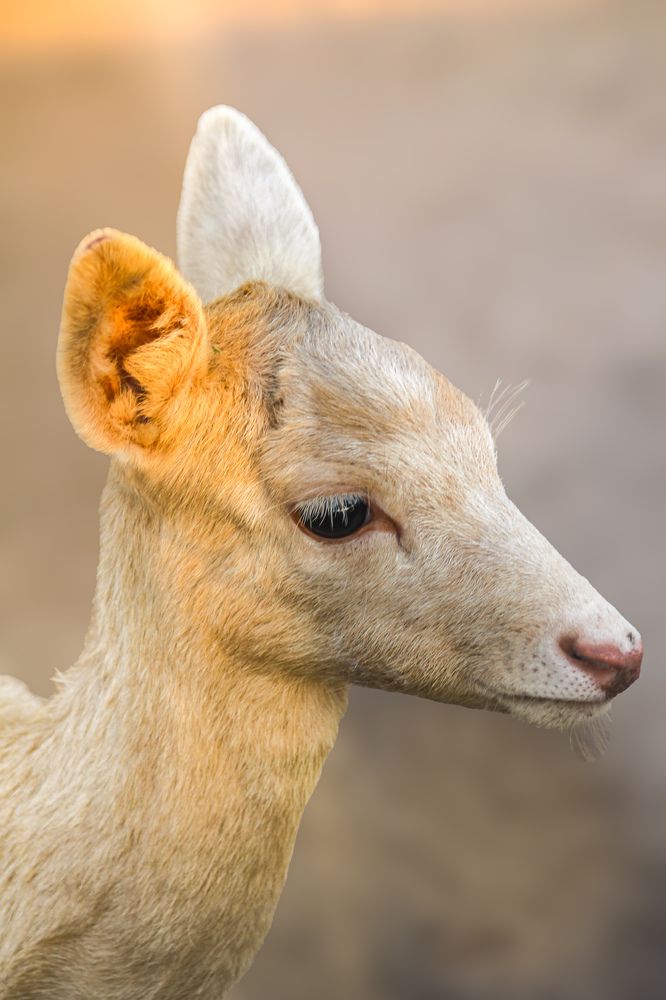 Photograph by Ziad Rizwan