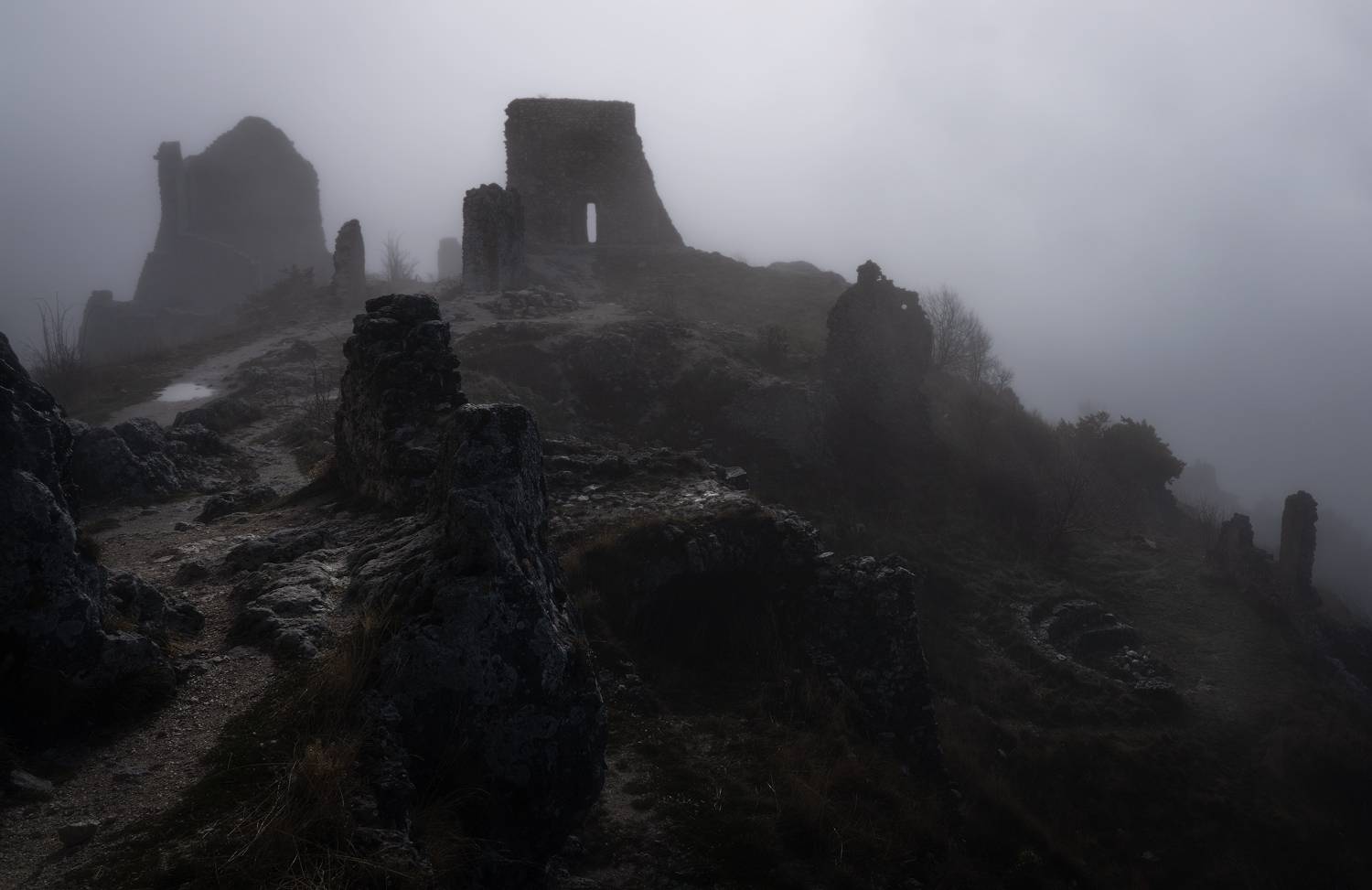 ....The Realm Of Silence....