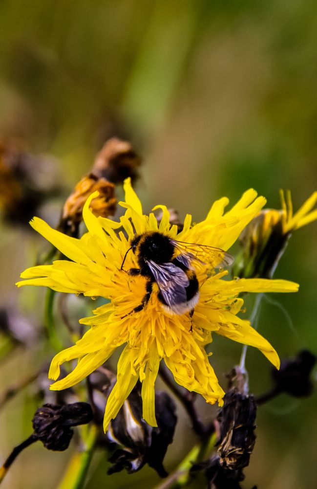 Photograph by Дмитрий Селицкий