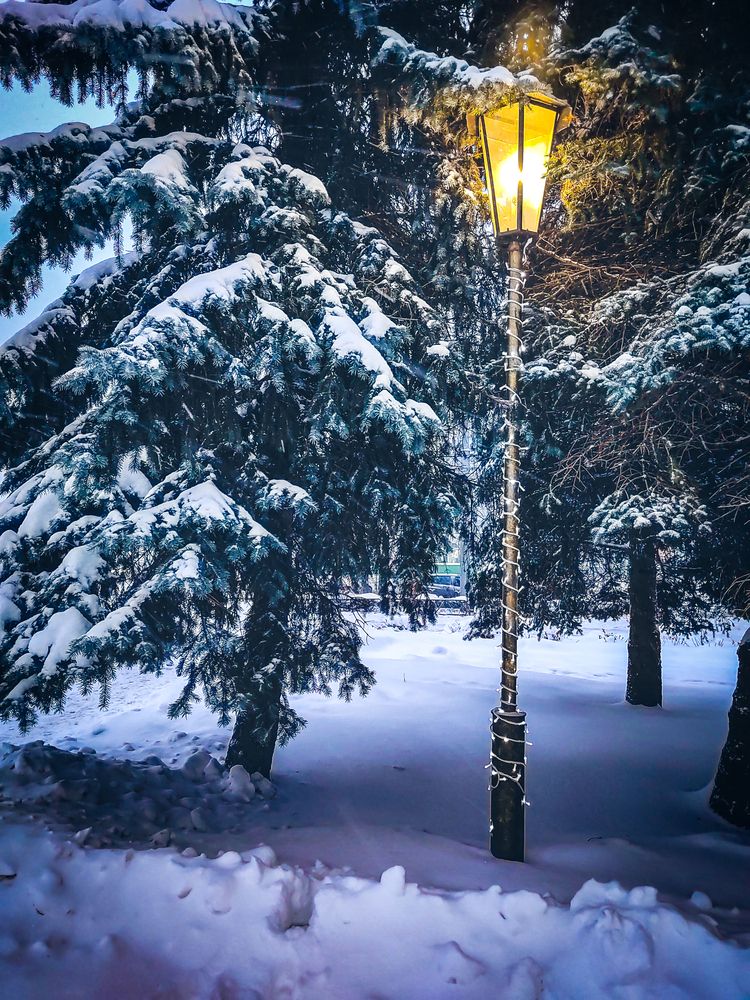 Photograph by Дарья Кондрашонок