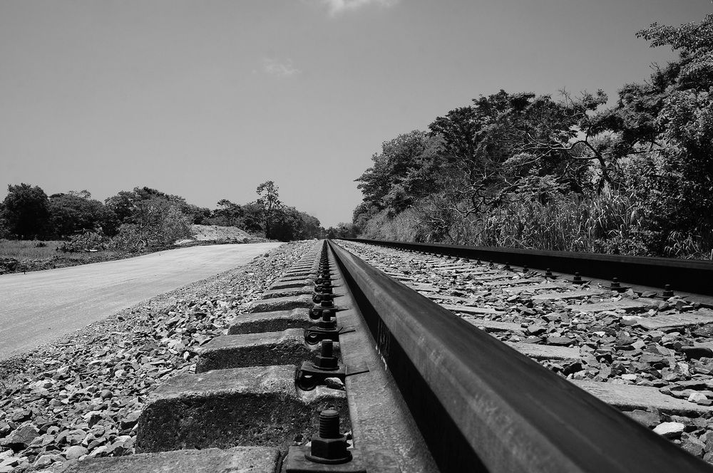 Photograph by Francisco Galindo-Ochoa