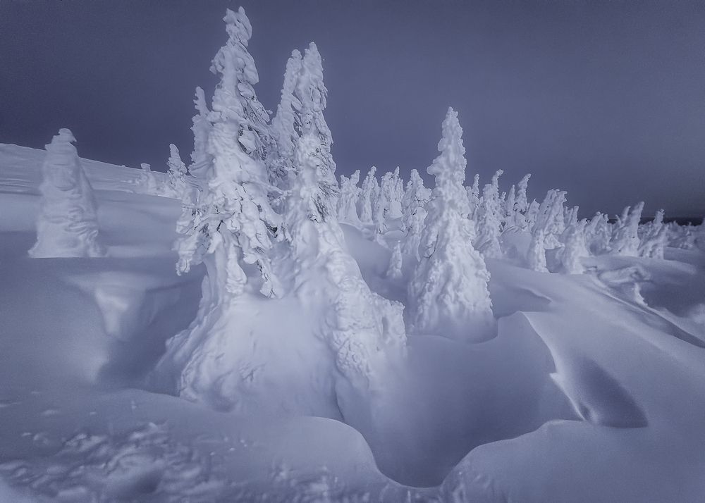 Фотография автора Kozlov Sergey